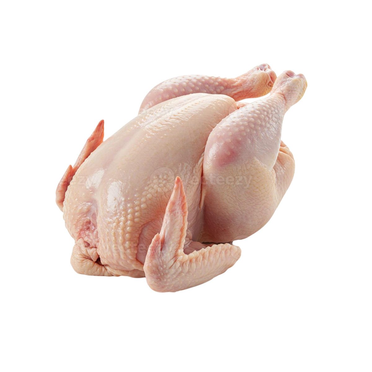 مرغ و طیور