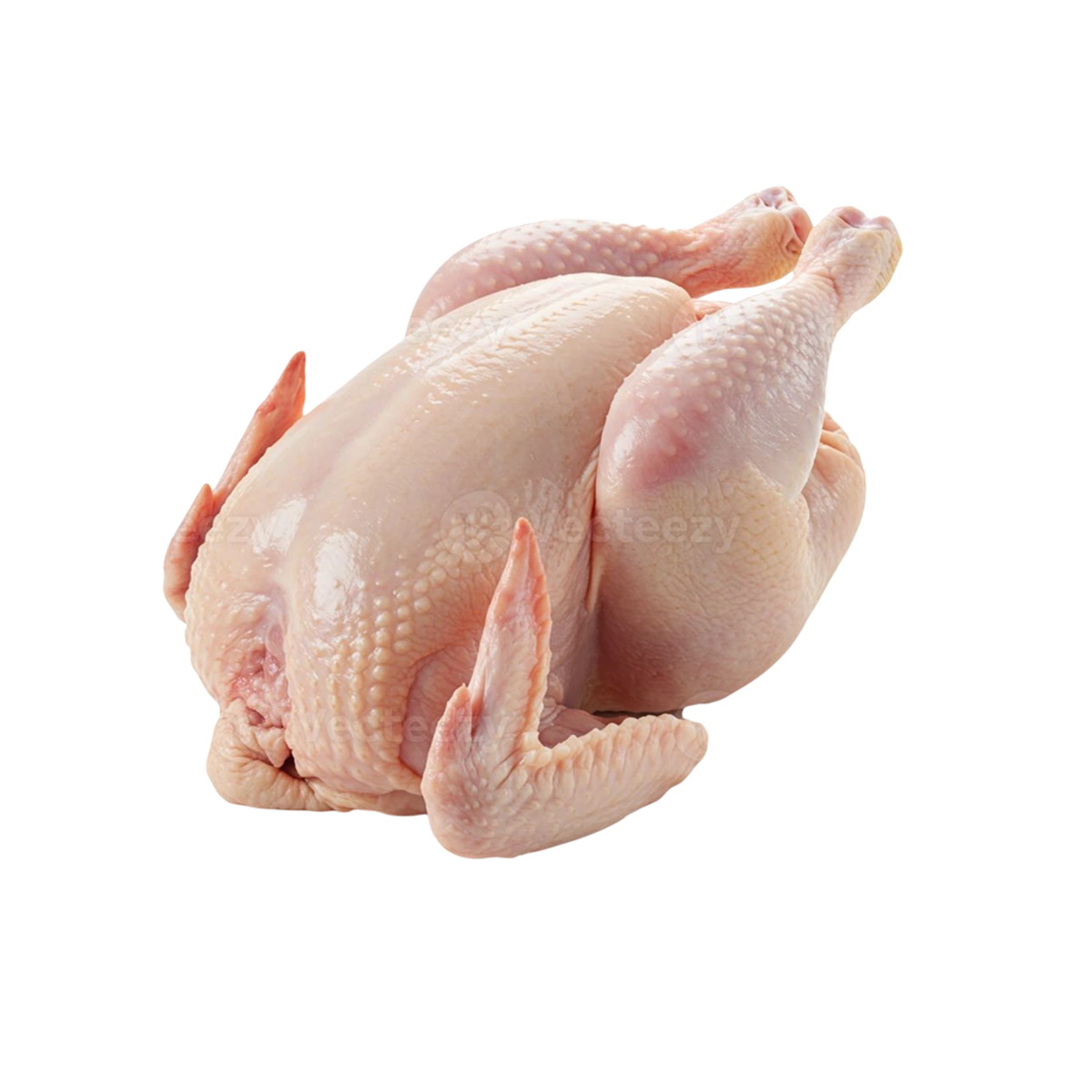 مرغ و طیور